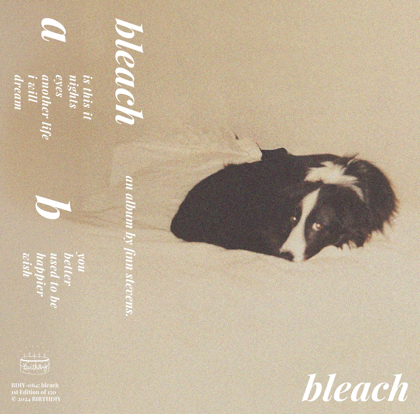 BDIY-064: bleach - bleach