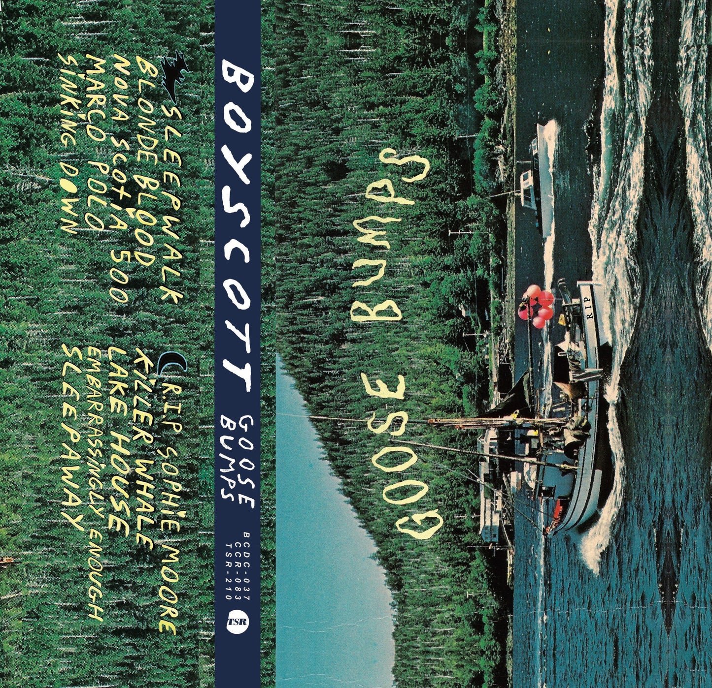 CC-DEC2020: Boyscott - Goose Bumps