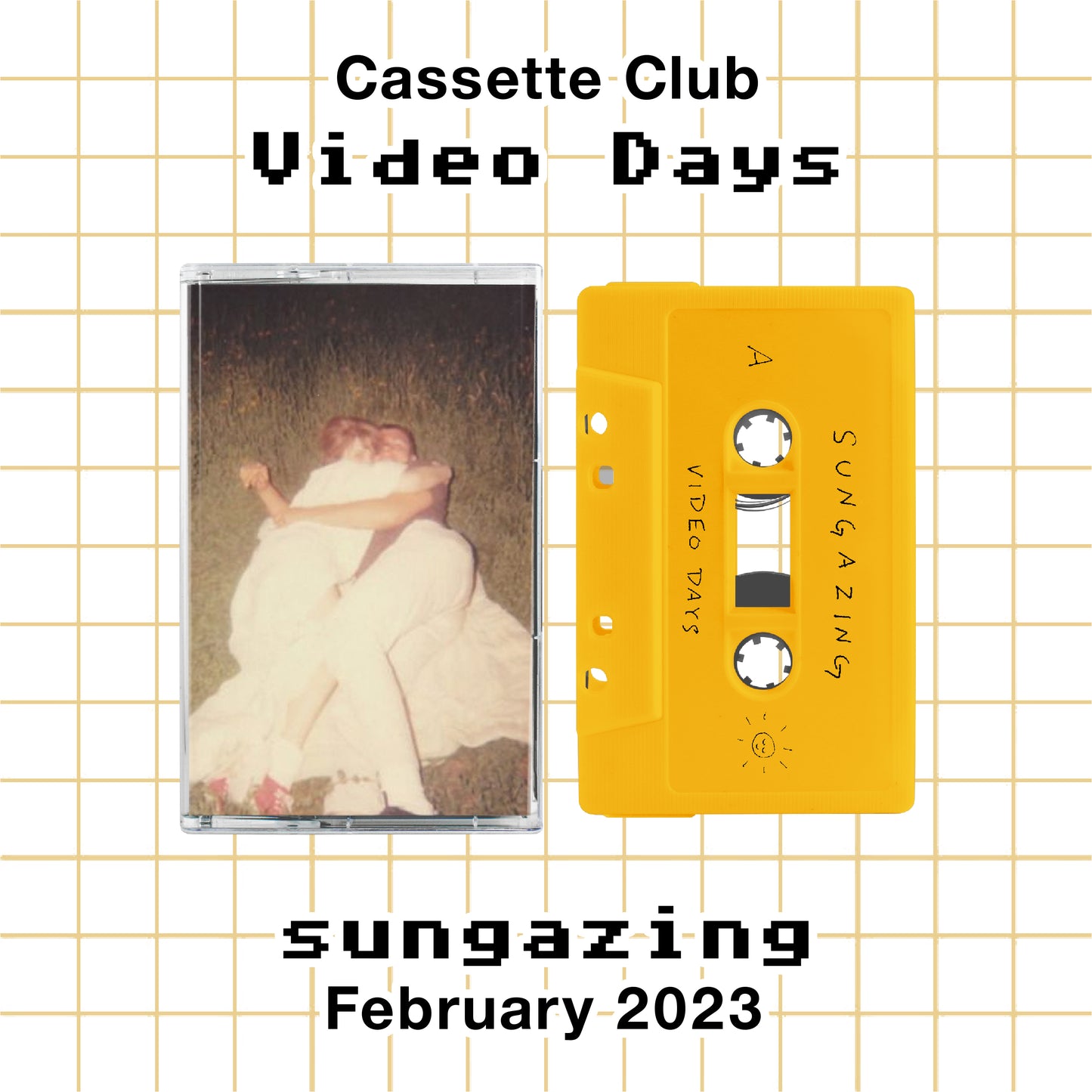 BDIY-038: Video Days - sungazing