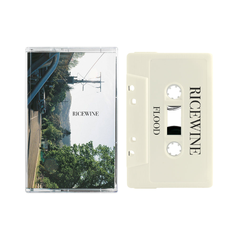 CC-FEB2020: RICEWINE - Flood