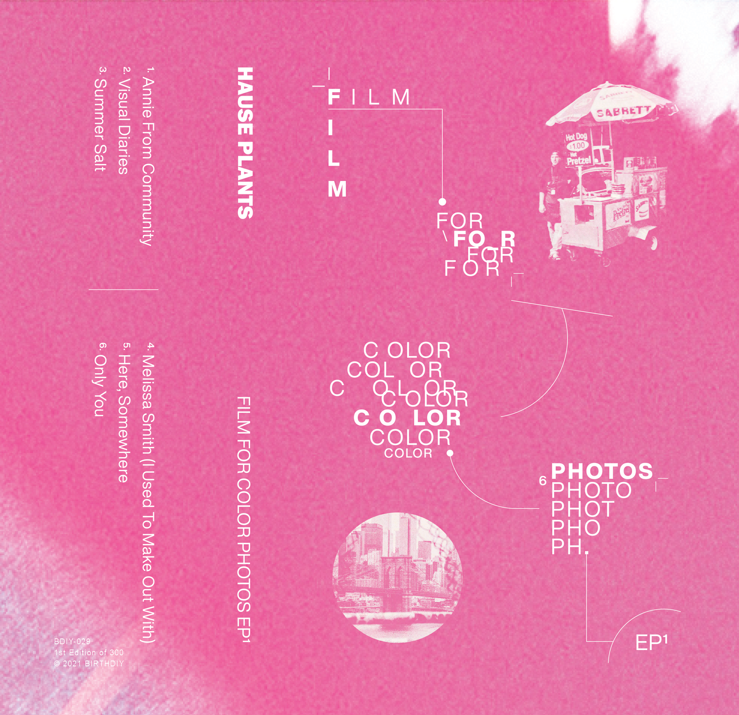 BDIY-029: Hause Plants - Film For Color Photos EP