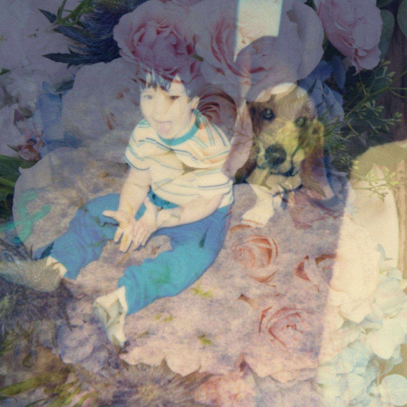 SG5: Pastel Dream