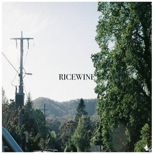 CC-FEB2020: RICEWINE - Flood