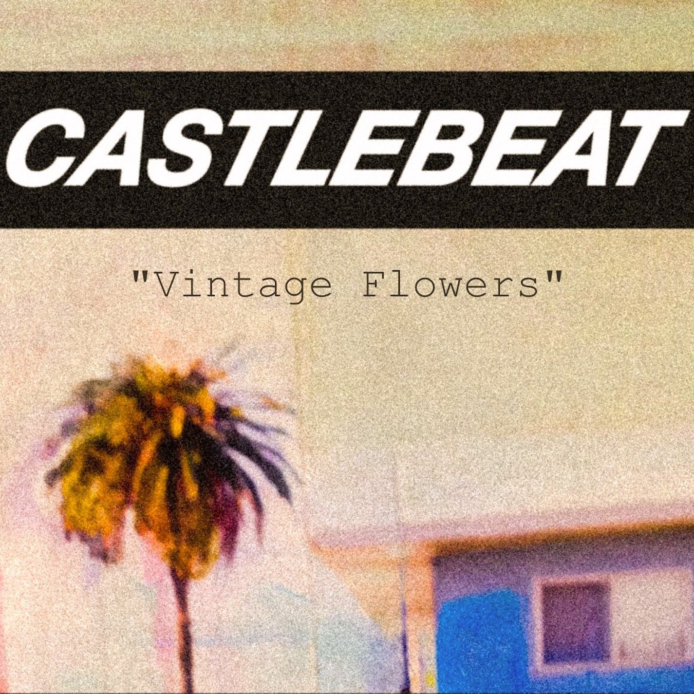 SG11: CASTLEBEAT - Vintage Flowers