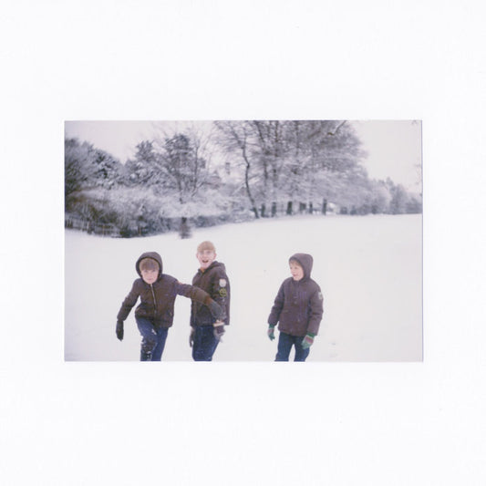 SG6: Static Animal - Morning Sounds